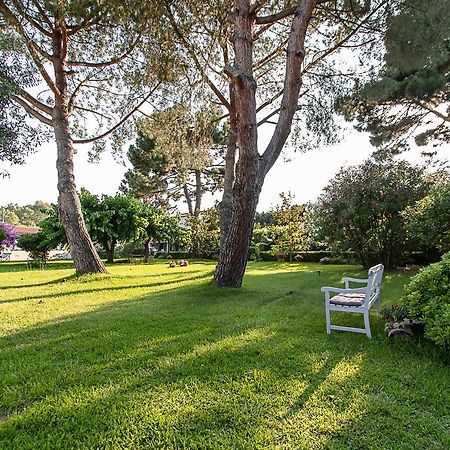 Villa Hermes San Ferdinando Exterior photo