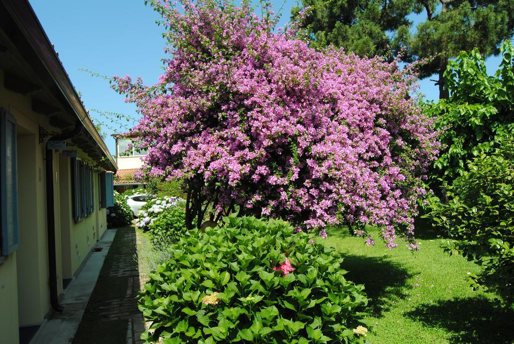 Villa Hermes San Ferdinando Exterior photo
