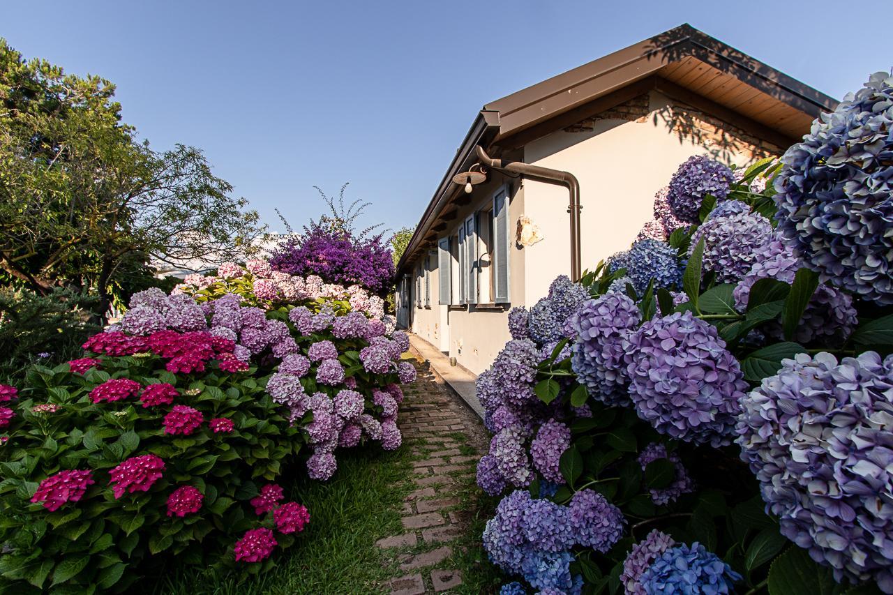 Villa Hermes San Ferdinando Exterior photo
